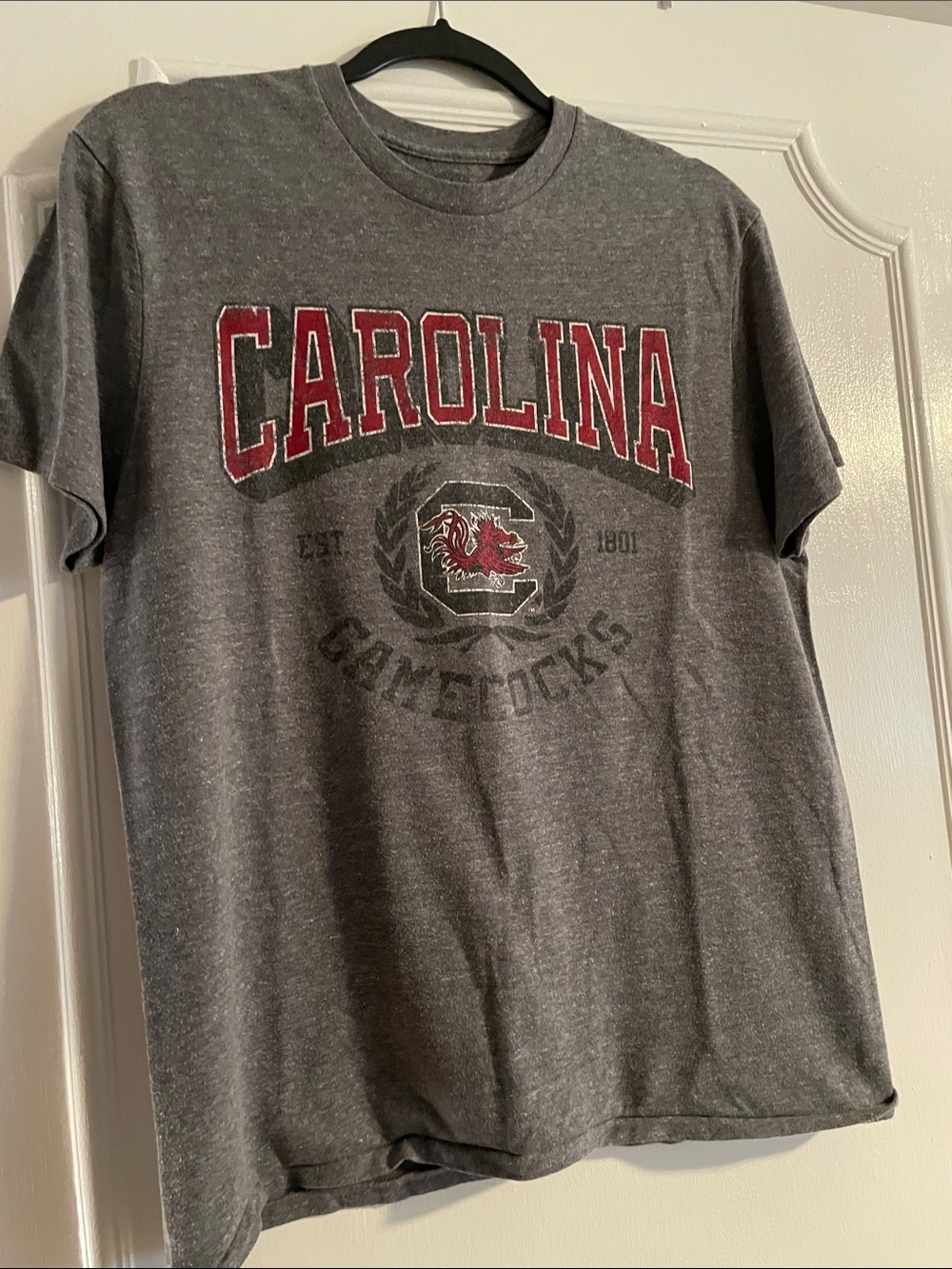 Carolina Gamecocks Gray Graphic Tee - Collegiate Short Sleeve Shirt